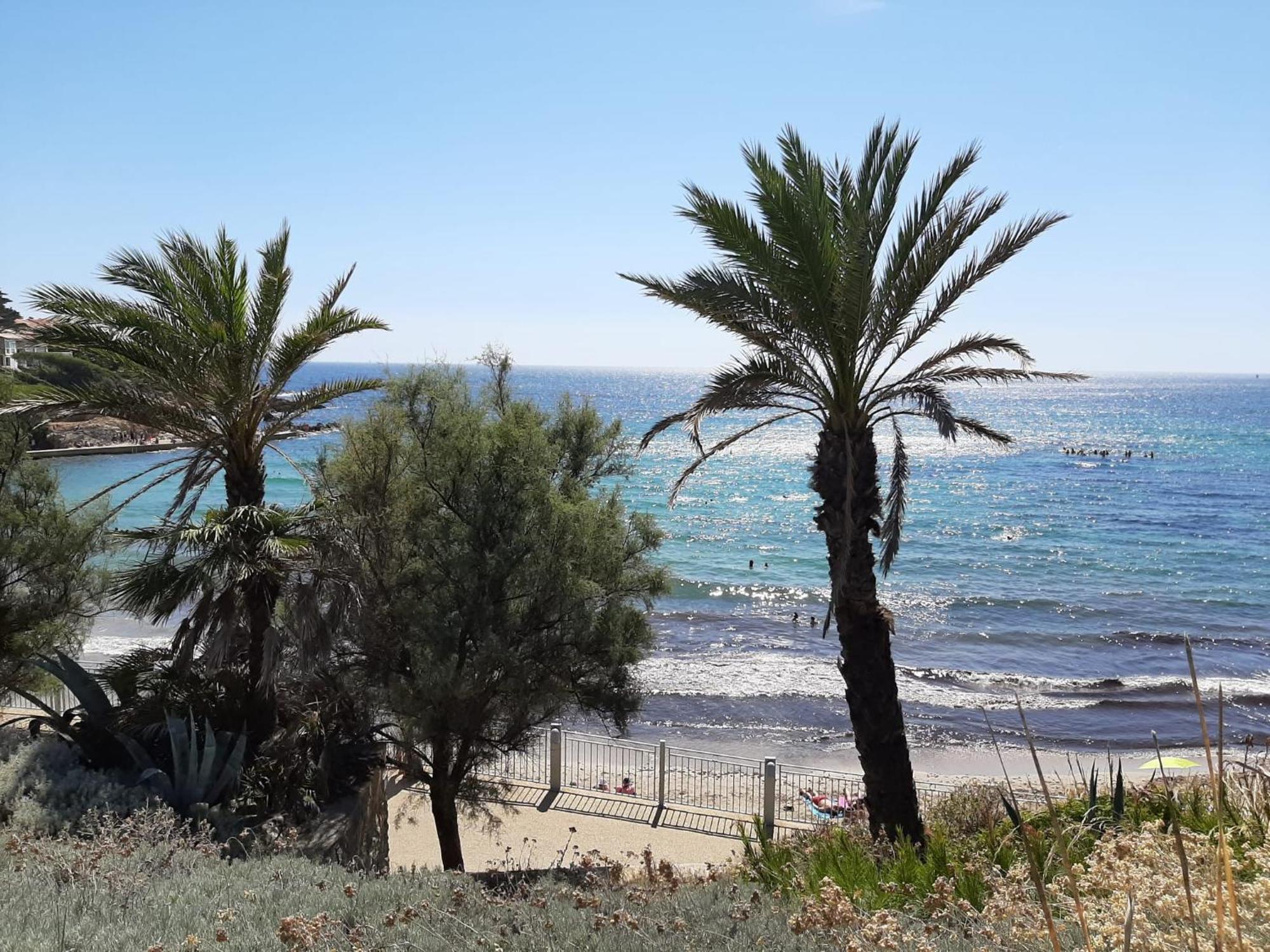 Sanary- La Vie Est Belle- Centre Ville 2 Minutes A Pied- Plage 5 Minutes Buitenkant foto
